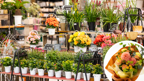 素敵にしちゃお