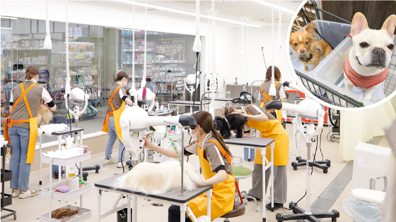 ペットと来ちゃお