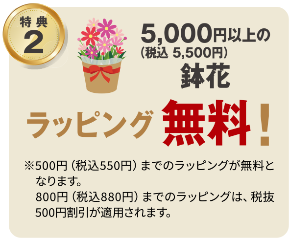ラッピング無料！