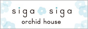 sigasiga orchid house