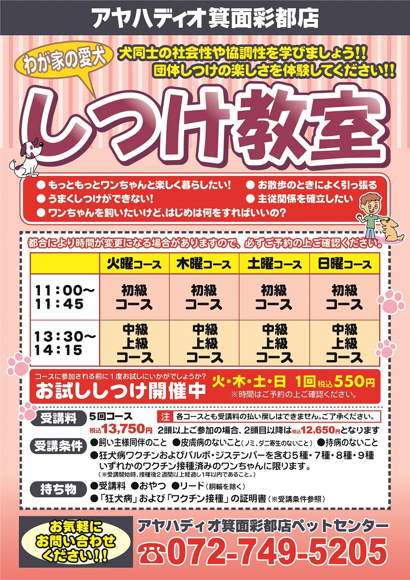 各店舗からのお知らせ ホームセンター アヤハディオ 各店舗からのお知らせ ホームセンター アヤハディオ