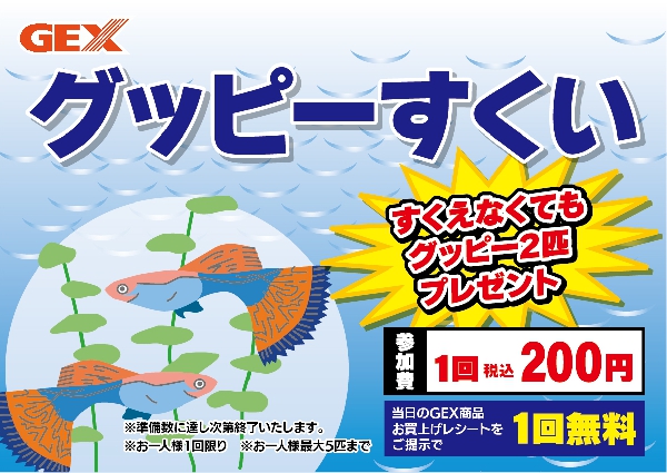 【予告】店舗限定7月19日（日）　グッピーすくい開催！