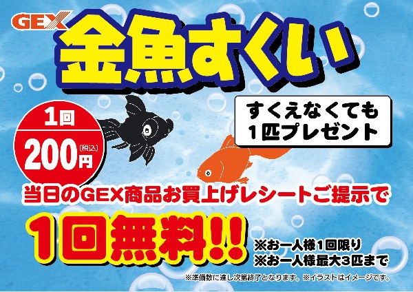 【予告】店舗限定8月9日（土）　金魚すくい開催！
