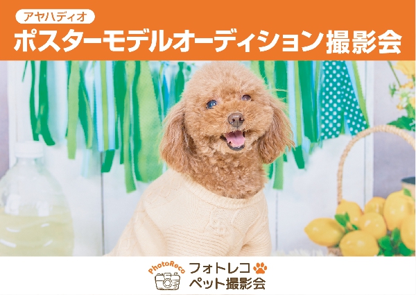 わんちゃん「ポスターモデルオーディション撮影会」ご予約のご案内