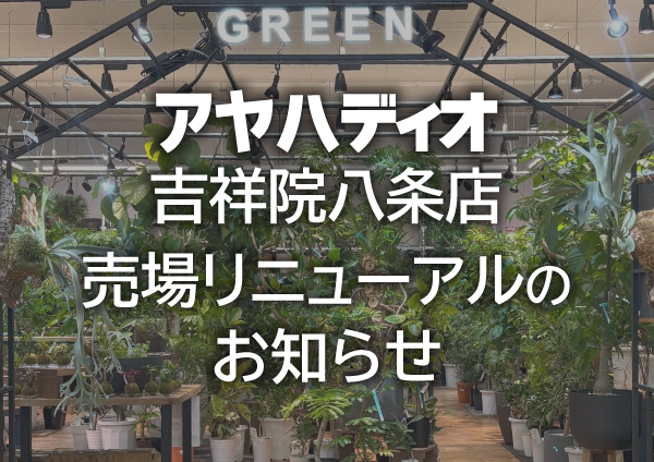 吉祥院八条店リニューアル