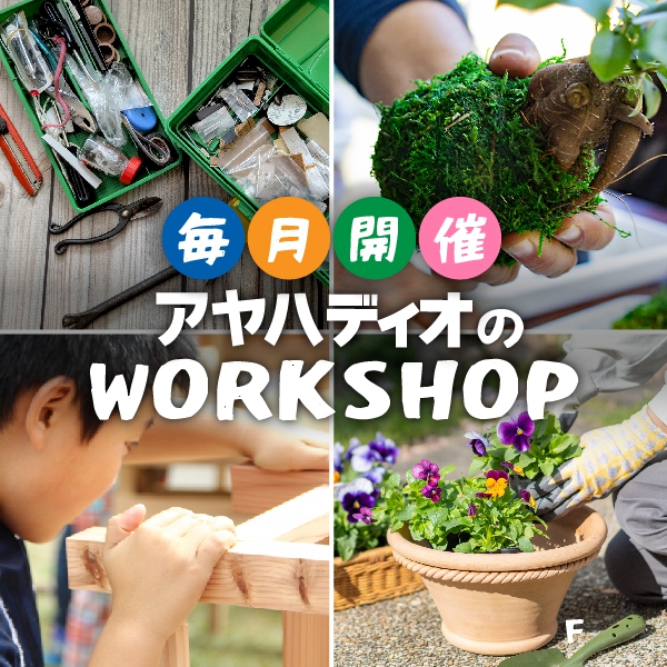 ワークショップ開催情報