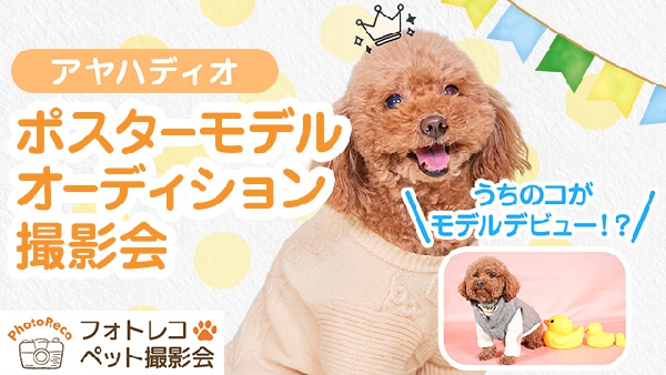 わんちゃん「ポスターモデルオーディション撮影会」ご予約のご案内