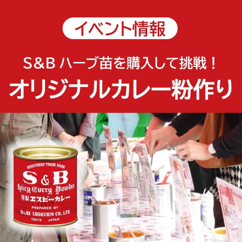 オリジナルカレー粉作り