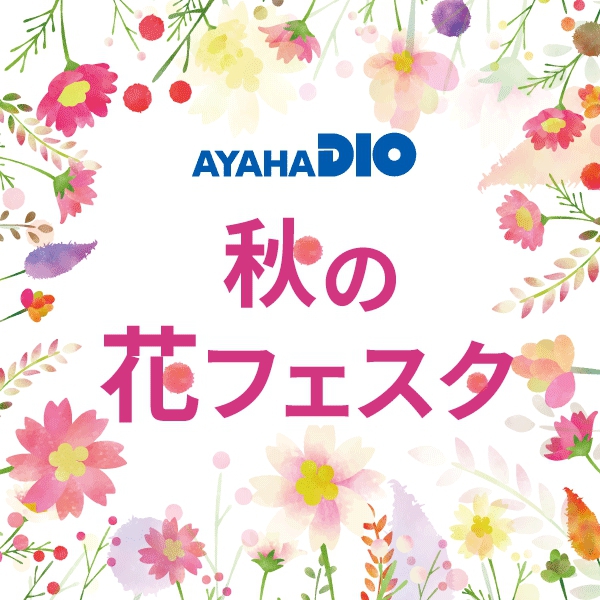 秋の花フェスタ