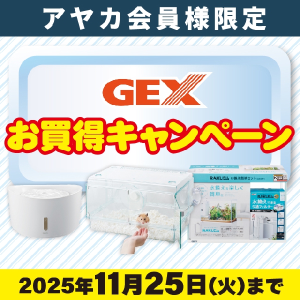 GEXお買い得キャンペーン