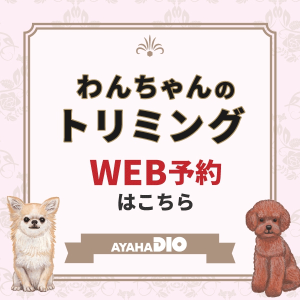 わんちゃんのトリミングWEB予約はこちら