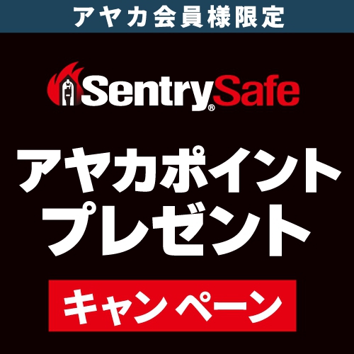 【金庫】アヤカポイントプレゼントキャンペーン