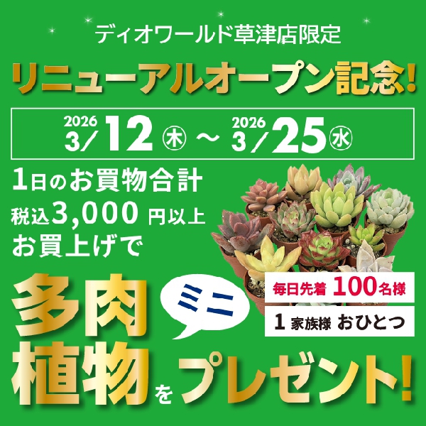 ディオワールド草津店リニューアルオープン記念！