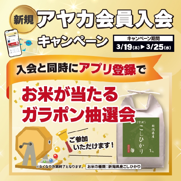 新規アヤカ会員入会キャンペーン