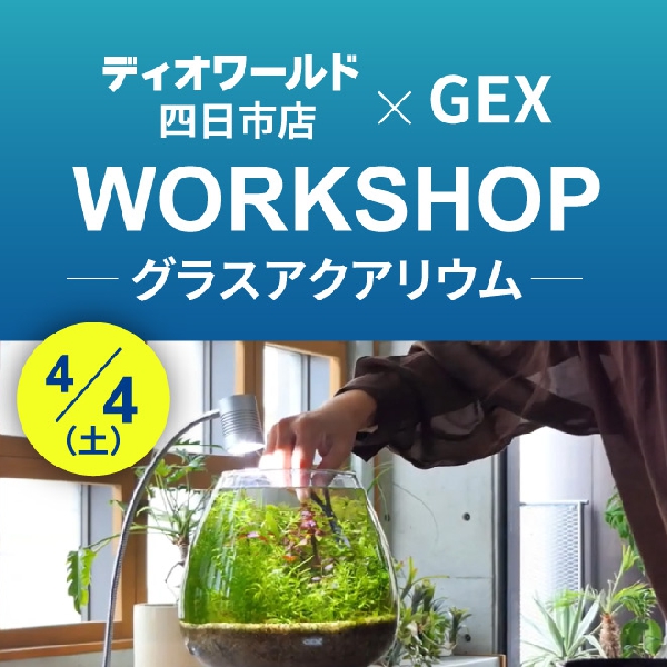 【ディオワールド四日市店】グラスアクアリウムワークショップ開催！