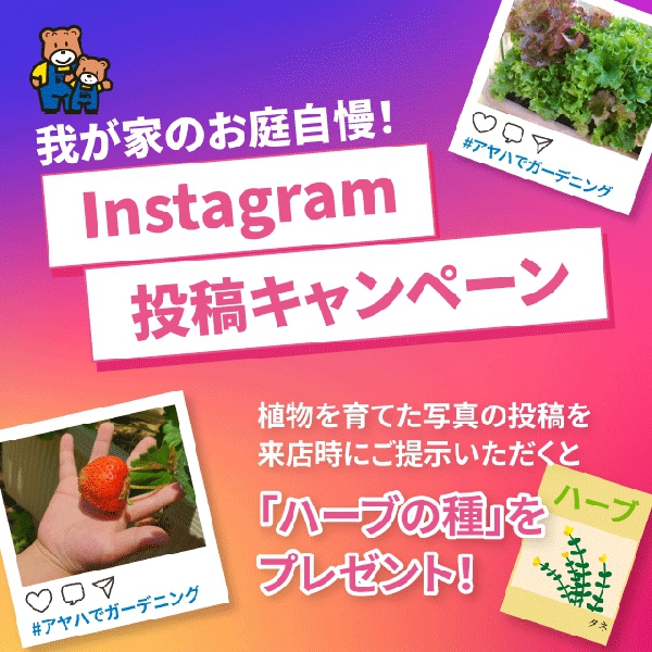 インスタグラム投稿キャンペーン