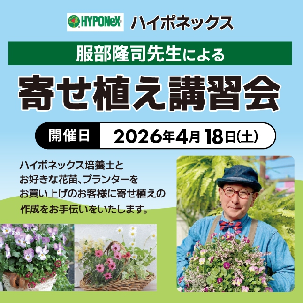 【ディオワールド草津店】服部隆司先生による寄せ植え講習会