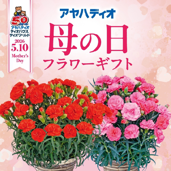 母の日フラワーギフト