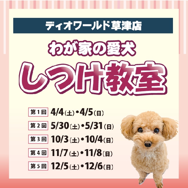 【ディオワールド草津店】しつけ教室