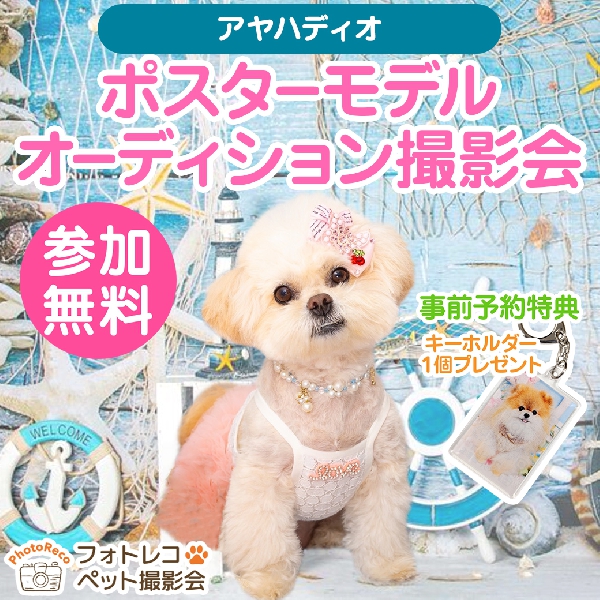 ポスターモデルオーディション撮影会＜参加無料＞