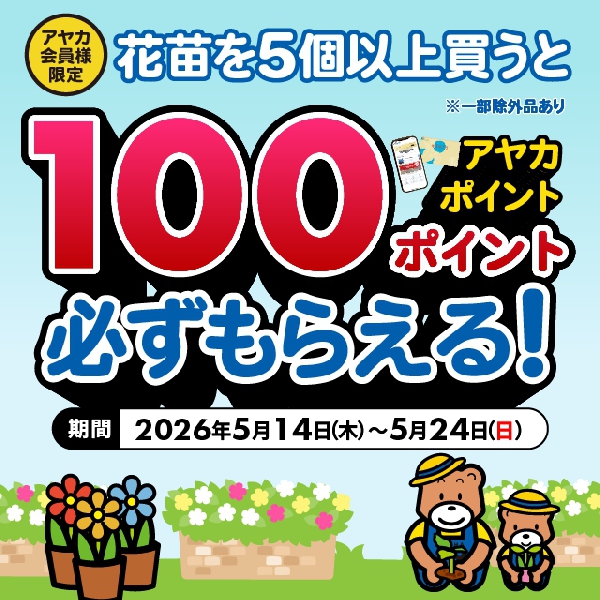 花苗を5個以上買うと100ポイント必ずもらえる！