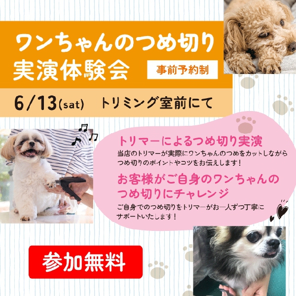 ワンちゃんのつめ切り実演体験会