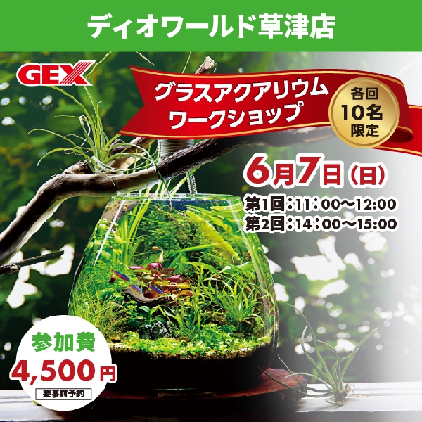 【ディオワールド草津店】グラスアクアリウムワークショップ