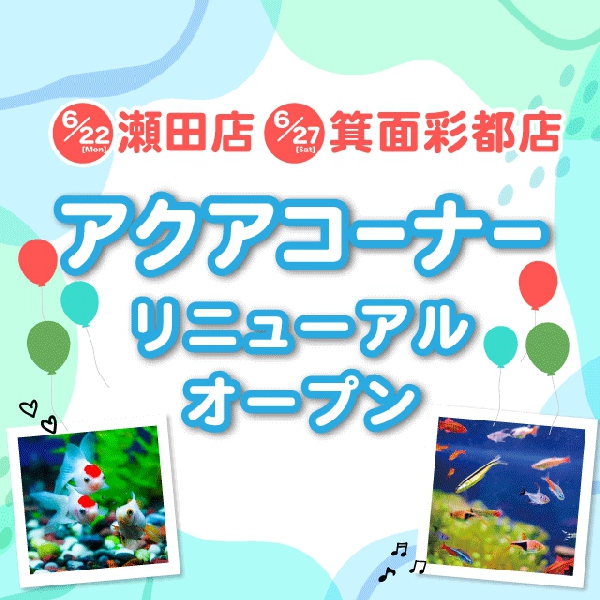 【瀬田店・箕面彩都店】アクアコーナーリニューアルオープン