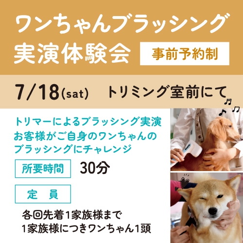 ワンちゃんブラッシング実演体験会