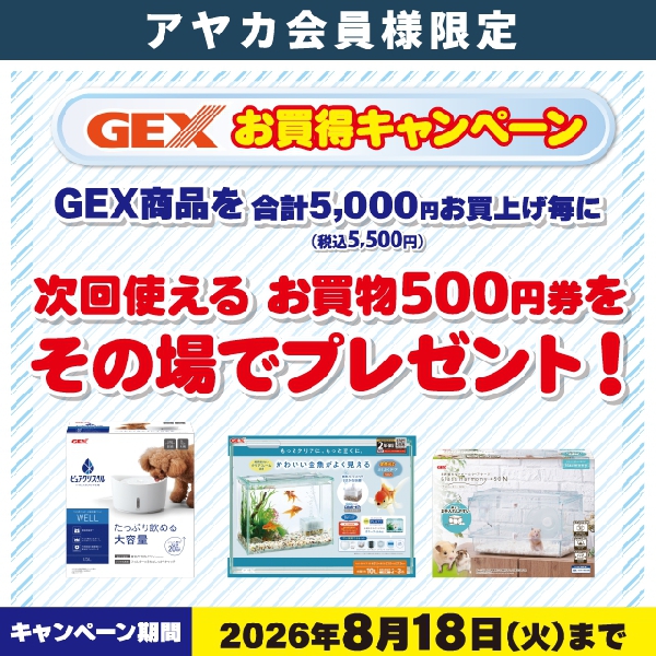 GEXお買得キャンペーン
