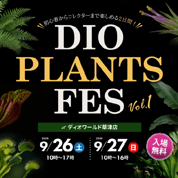 DIO PLANTS FES 開催決定！
