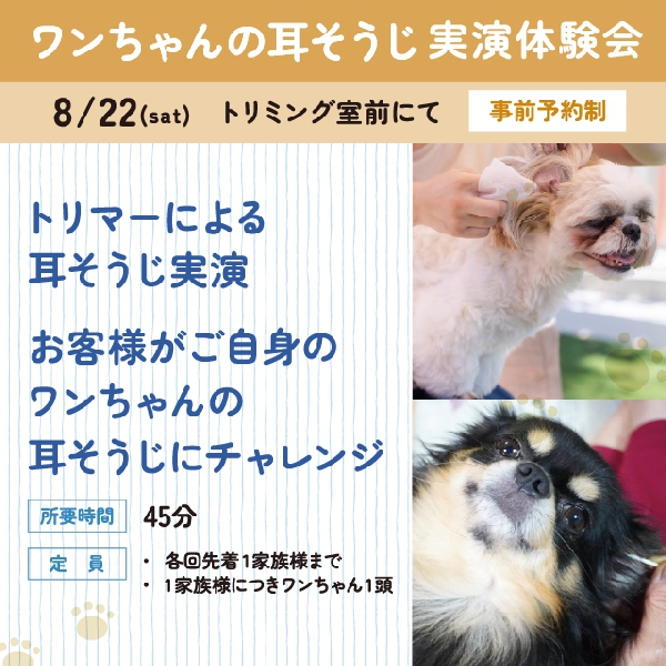 ワンちゃんの耳そうじ 実演体験会