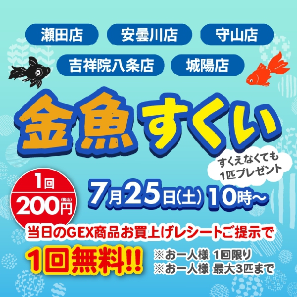 【店舗限定】金魚すくい
