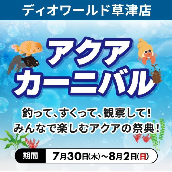【草津店】アクアカーニバル開催！