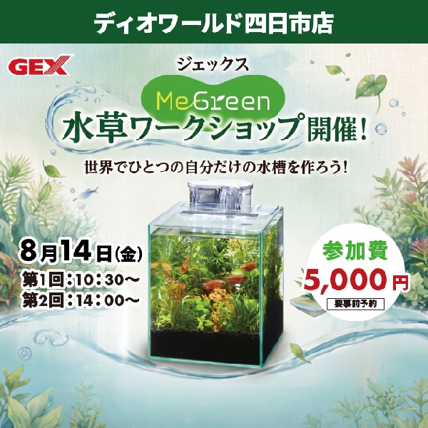 【四日市店】GEX 水草ワークショップ開催！