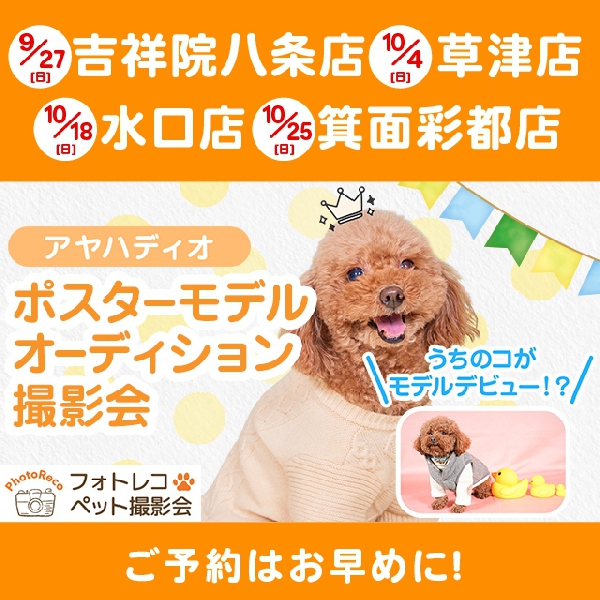 ポスターモデルオーディション撮影会＜参加無料＞