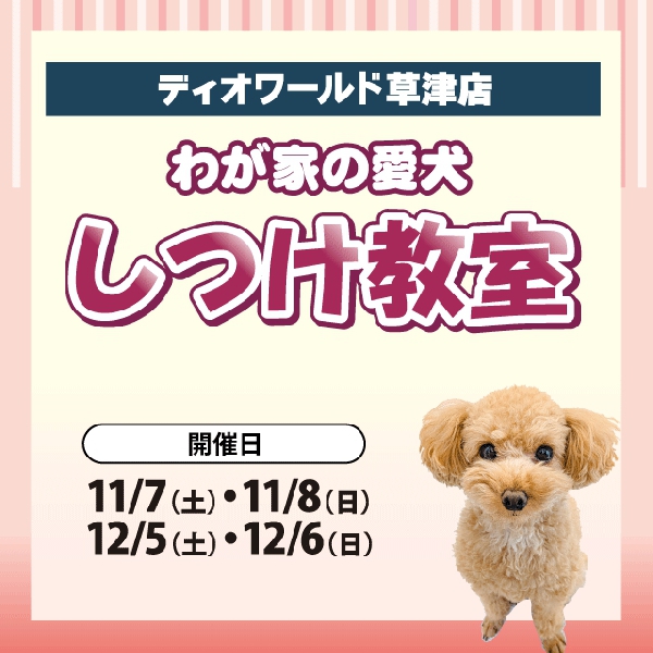 【ディオワールド草津店】しつけ教室