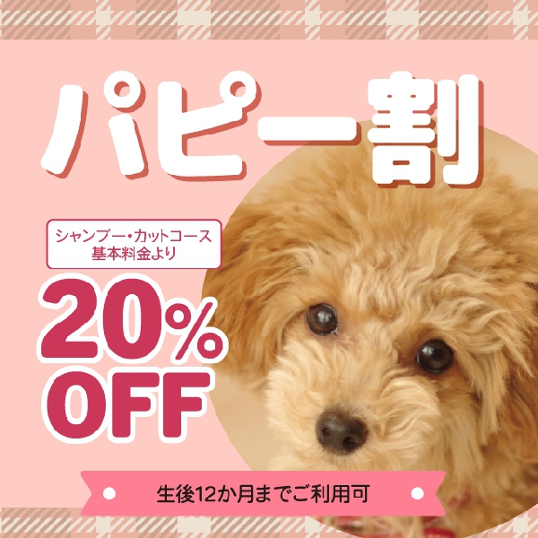 【ペットセンター】パピー割のお知らせ