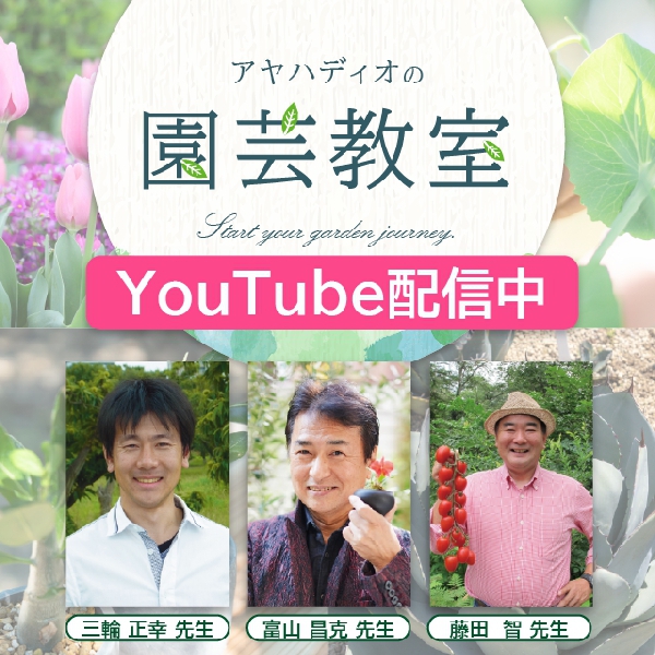 秋の園芸教室 YouTubeにて配信中！
