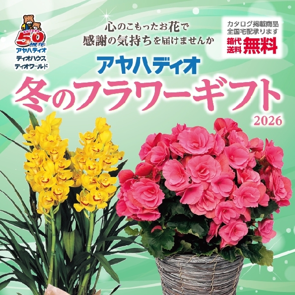 冬のフラワーギフト