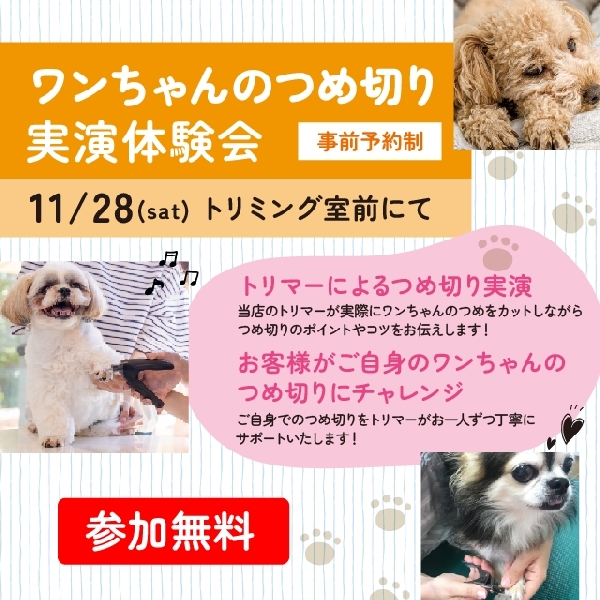 ワンちゃんのつめ切り実演体験会