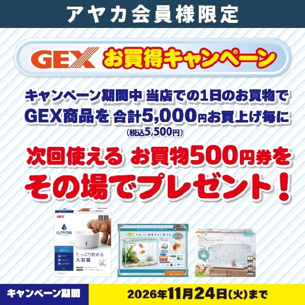 GEXお買得キャンペーン開催中！