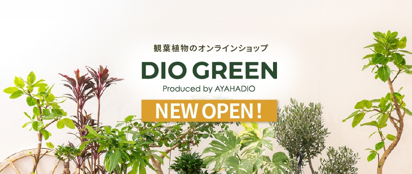DIO GREEN