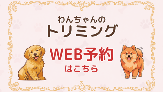WEB予約はこちら